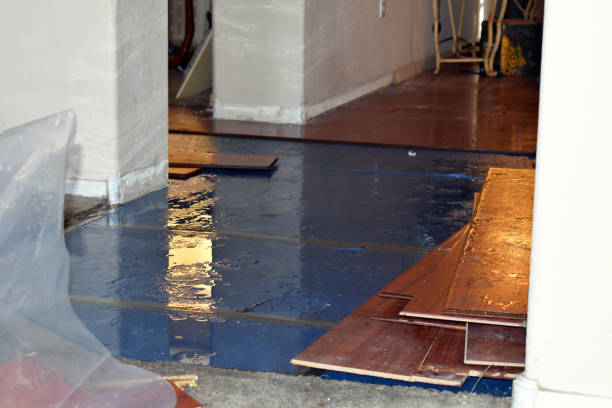 Professional Water Damage Restoration technician working in Tipton, MO